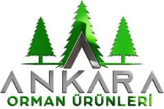 Ankara Orman Ürünleri